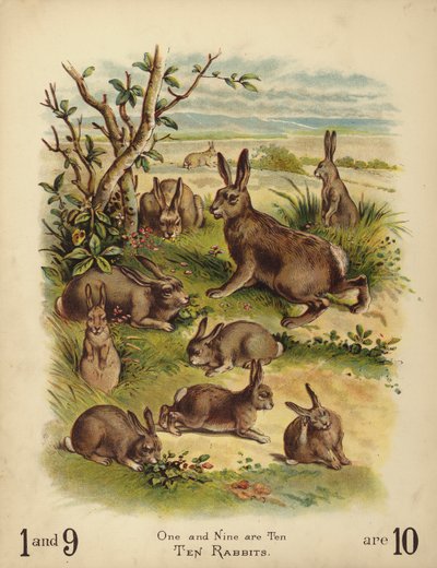 Ten Rabbits by English School
