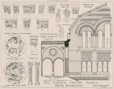 Terracotta details from the new Natural History Museum, South Kensington by English School