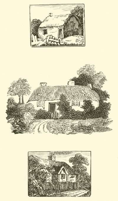 Thatched Cottages by English School