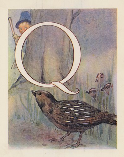 The Animal ABC: Letter Q, Quail by English School
