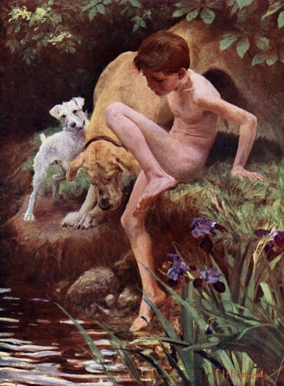 The Bathers - Boy and Dogs Having a Swim by English School
