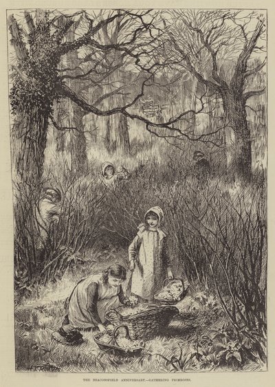 The Beaconsfield Anniversary, Gathering Primroses by English School
