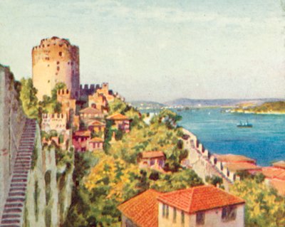 The Bosporus from a Turkish Fort by English School