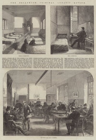 The Broadmoor Criminal Lunatic Asylum by English School