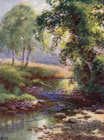 The Brook by English School