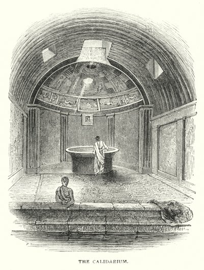 The Calidarium by English School