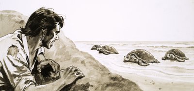 The Castaways: Terror of Turtle Island by English School