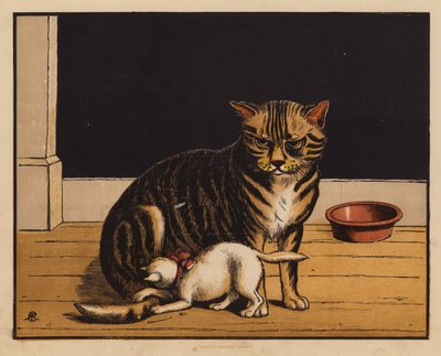 The Cat by English School
