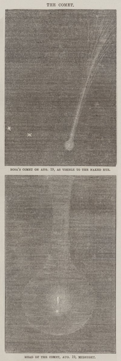 The Comet by English School