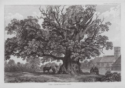 The Cowthope Oak by English School