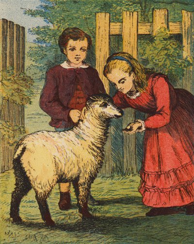 The "Cuckoo" Lamb by English School