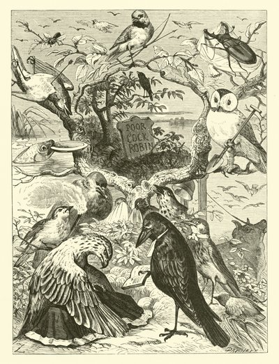The Death and Burial of Cock Robin by English School