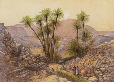 The Desert of Sinai by English School