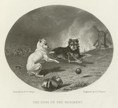 The Dogs of the Regiment by English School