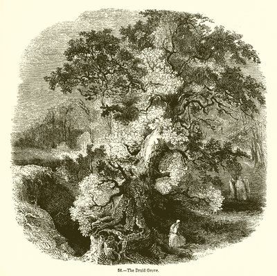 The Druid Grove by English School