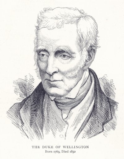 The Duke of Wellington by English School