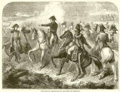 The Duke of Wellington on the Field of Waterloo by English School
