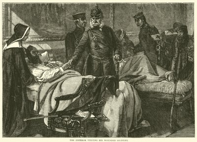The Emperor visiting his wounded soldiers, May 1871 by English School