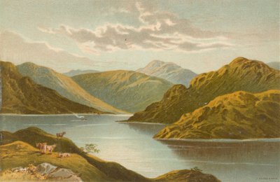 The Entrance to Loch Goil by English School