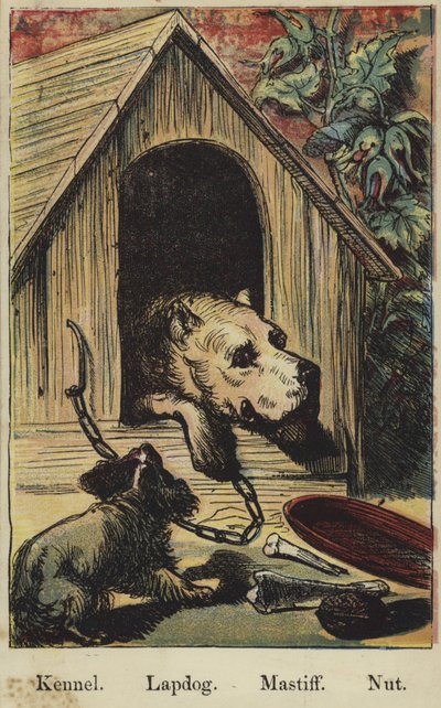 The Farmyard Alphabet by English School