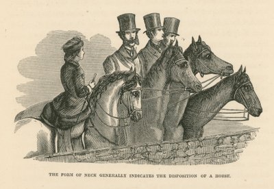 The Form of Neck Generally Indicates the Disposition of a Horse by English School