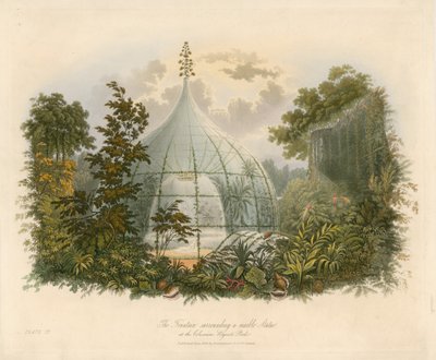 The Fountain Surrounding a Marble Statue at the Colosseum, Regents Park by English School