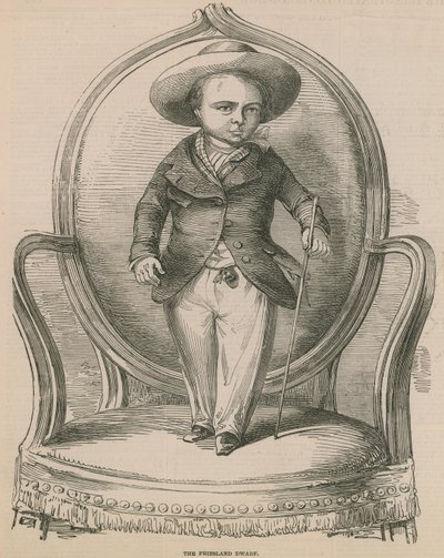 The Friesland Dwarf by English School