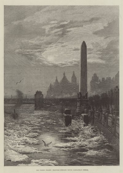 The Frozen Thames, Seagulls circling round Cleopatra