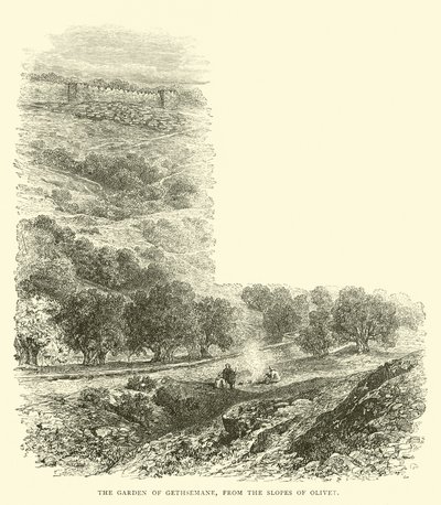 The Garden of Gethsemane, from the Slopes of Olivet by English School