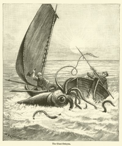 The Giant Octopus by English School