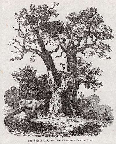 The Gospel Oak, Stonleigh, Warwickshire by English School