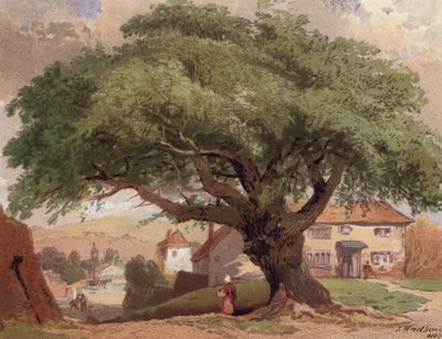 The Great Ash, scene in Surrey by English School