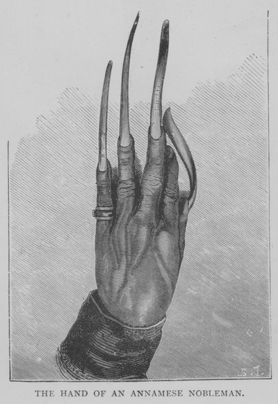 The Hand of an Annamese Nobleman by English School