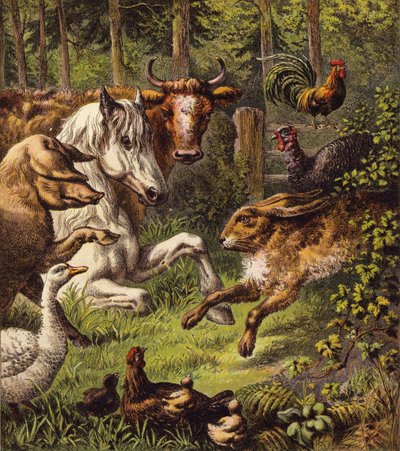 The Hare and the Tortoise by English School