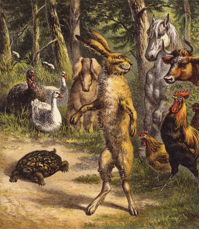 The Hare and the Tortoise by English School