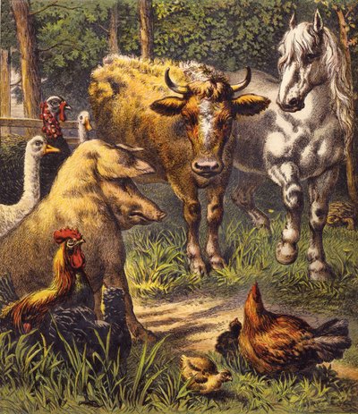 The Hare And The Tortoise by English School