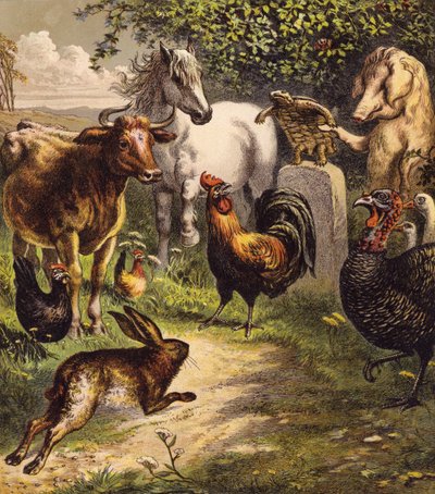 The Hare and the Tortoise by English School