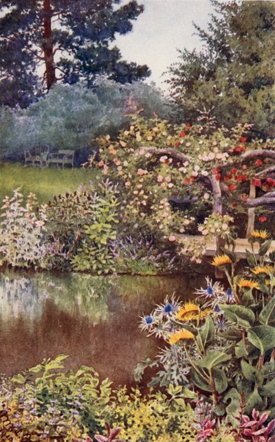 The Herb-Garden: Herbs by the Waterside by English School