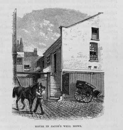 The House in Jacob