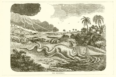 The Iguanodon by English School