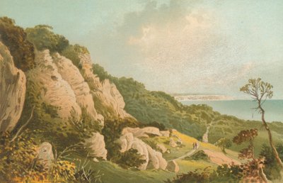 The Landslip near Ventnor--Isle of Wight by English School