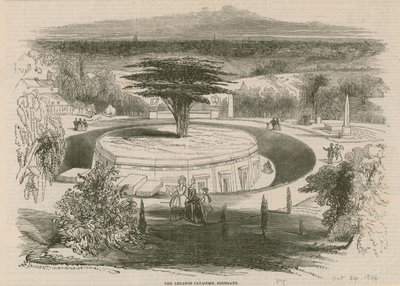 The Lebanon Catacombs, Highgate Cemetery, London by English School