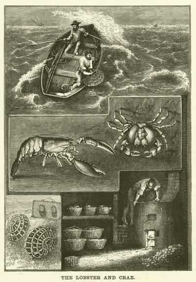 The Lobster and Crab by English School