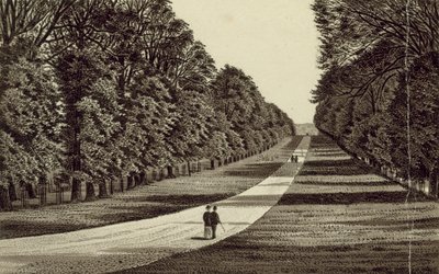 The Long Walk by English School