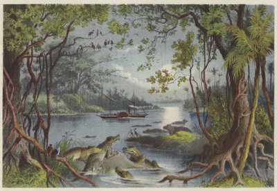 The Ma-Robert on the River Zambesi by English School