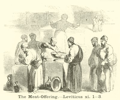 The Meat-Offering, Leviticus 11:1, 3 by English School