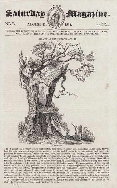 The Nannau Oak by English School