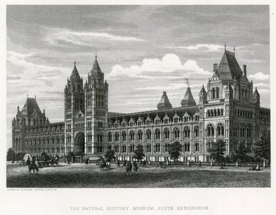 The Natural History Museum, 1881 by English School