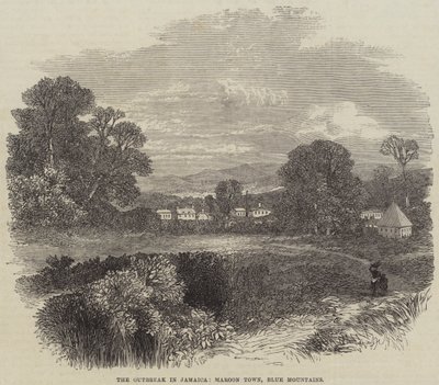 The Outbreak in Jamaica, Maroon Town, Blue Mountains by English School
