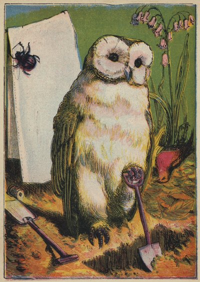 The Owl, the Beetle, and Cock Robin by English School